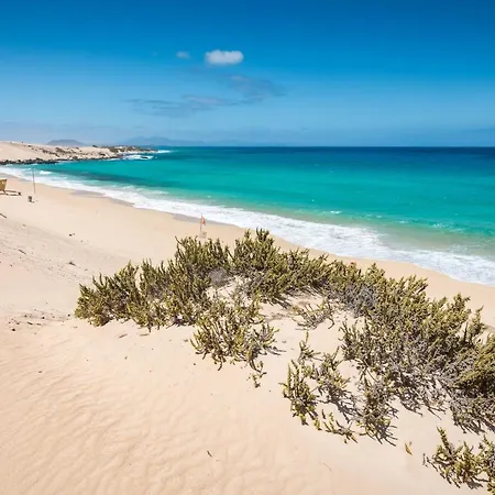 Apartman Home2book Comfy Ohana Garden Corralejo, Pool *
